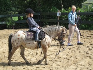 B_IMG_0527_300x225.jpg B_IMG_0527_300x225.jpg