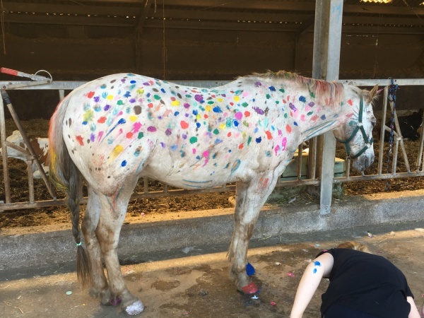 IMG_2086.jpg IMG_2086.jpg