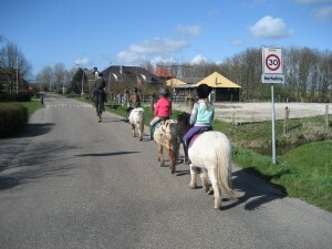 IMG_4540_300x225.jpg IMG_4540_300x225.jpg