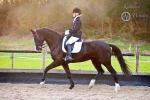 ADK_1336_BorderMaker_300x200.jpg ADK_1336_BorderMaker_300x200.jpg