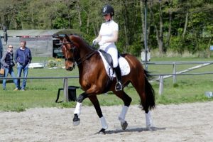 IMG_3114_300x200.jpg IMG_3114_300x200.jpg