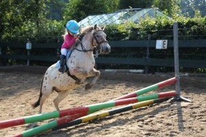 003_300x200_1_.jpg 003_300x200_1_.jpg