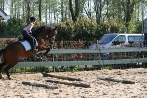 IMG_3202_300x199.jpg IMG_3202_300x199.jpg