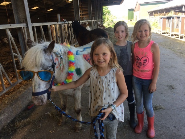 3cc8f559_bca4_4f10_8f06_d192ea9e5945.jpg 3cc8f559_bca4_4f10_8f06_d192ea9e5945.jpg